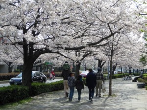 DSCN9647 - コピー